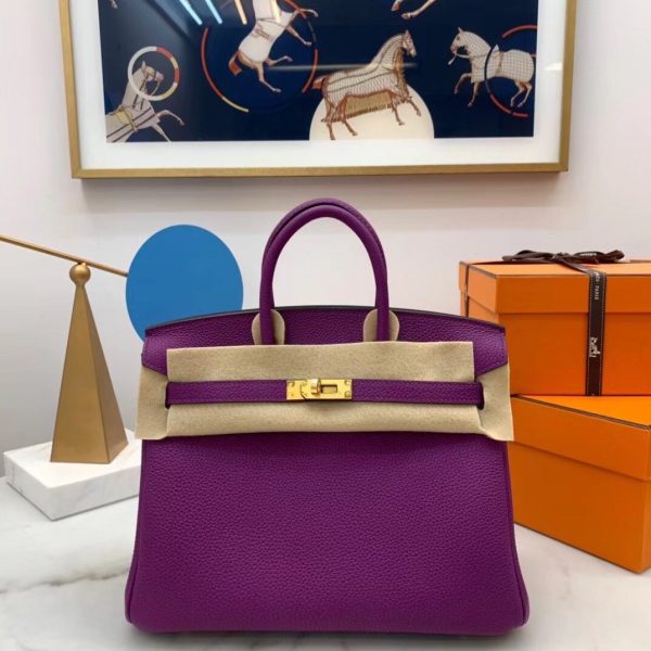 Hermes Birkin size 25 Anemone Bag 1