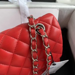 Chanel A01112-21 Medium Classic Flap Bag 6