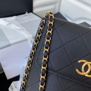 Chanel small hobo bag black AS2543 AS2542 14