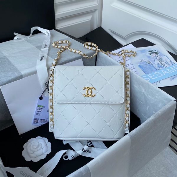 Chanel small hobo bag white AS2543 AS2542 1