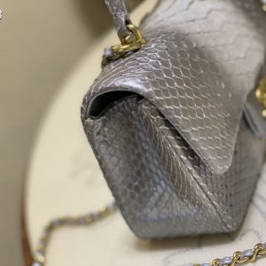 Chanel w/box mini flap bag python skin 10