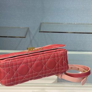 Dior Caro size 20 gradient pink Bag 12