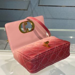 Dior Caro size 20 gradient pink Bag 13
