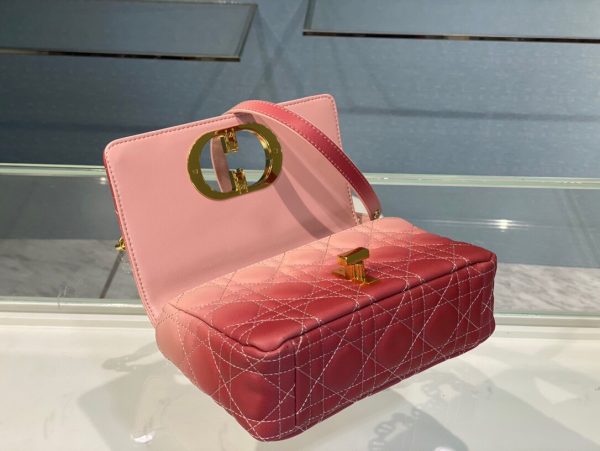 Dior Caro size 20 gradient pink Bag 4