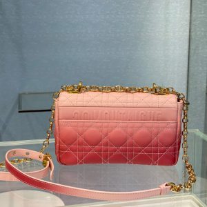 Dior Caro size 20 gradient pink Bag 15