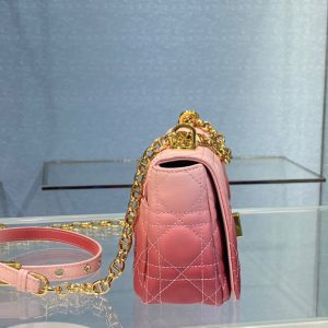 Dior Caro size 20 gradient pink Bag 16