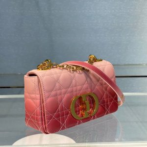 Dior Caro size 20 gradient pink Bag 17