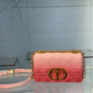 Dior Caro size 20 gradient pink Bag 18