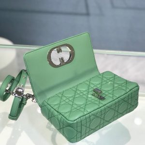 Dior Caro size 20 green Bag 12