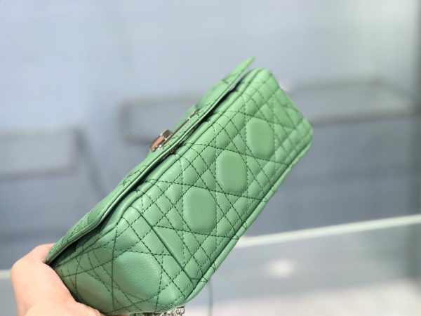 Dior Caro size 20 green Bag 4