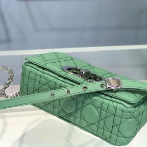 Dior Caro size 20 green Bag 14