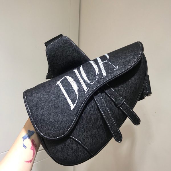 Dior Homme 2020 Pre-Fall Saddle size 20 ophidia Bag 1