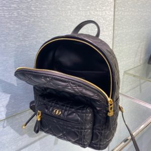 Dior Oblique retro black Backpack 11