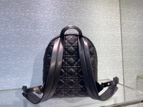 Dior Oblique retro black Backpack 7
