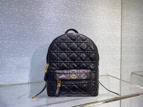 Dior Oblique retro black Backpack 1