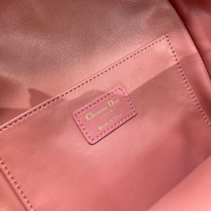 Dior Oblique retro pink Backpack 11