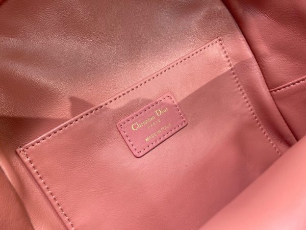 Dior Oblique retro pink Backpack 2