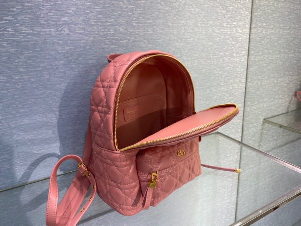 Dior Oblique retro pink Backpack 3
