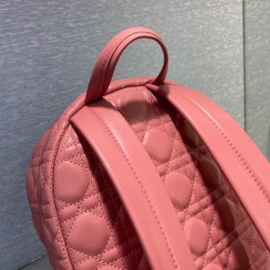 Dior Oblique retro pink Backpack 13