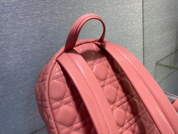 Dior Oblique retro pink Backpack 4