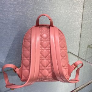 Dior Oblique retro pink Backpack 14
