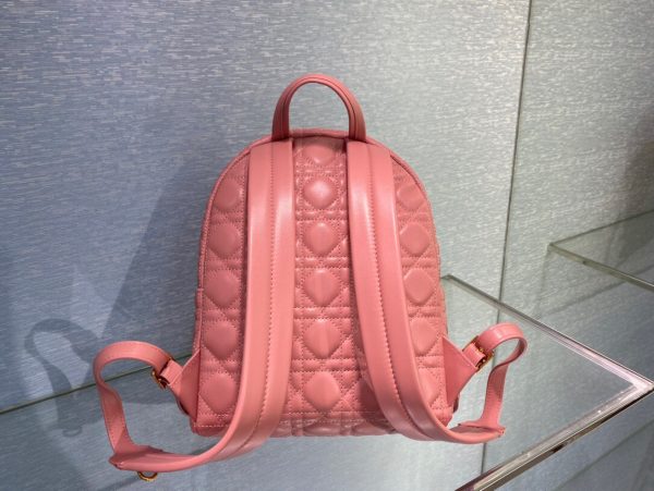 Dior Oblique retro pink Backpack 5