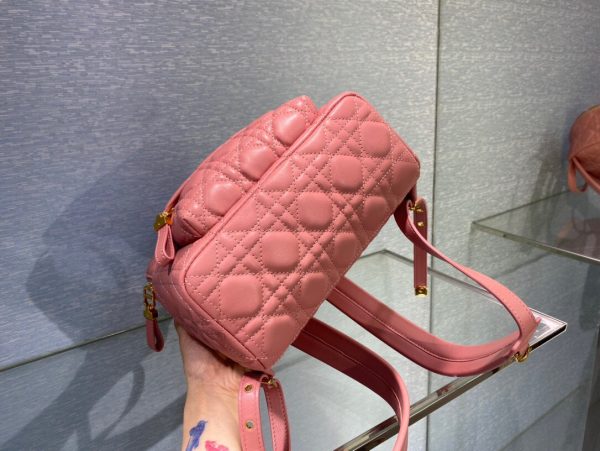 Dior Oblique retro pink Backpack 6