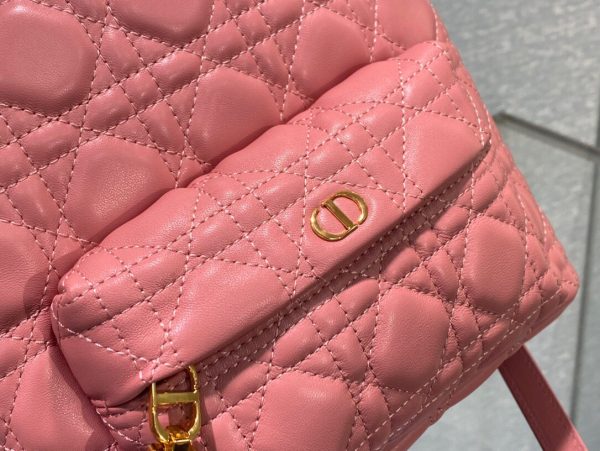 Dior Oblique retro pink Backpack 7