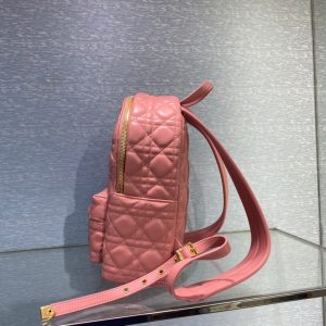 Dior Oblique retro pink Backpack 17