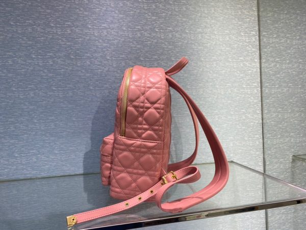 Dior Oblique retro pink Backpack 8