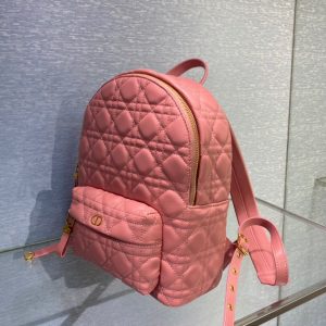 Dior Oblique retro pink Backpack 18