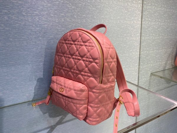 Dior Oblique retro pink Backpack 9