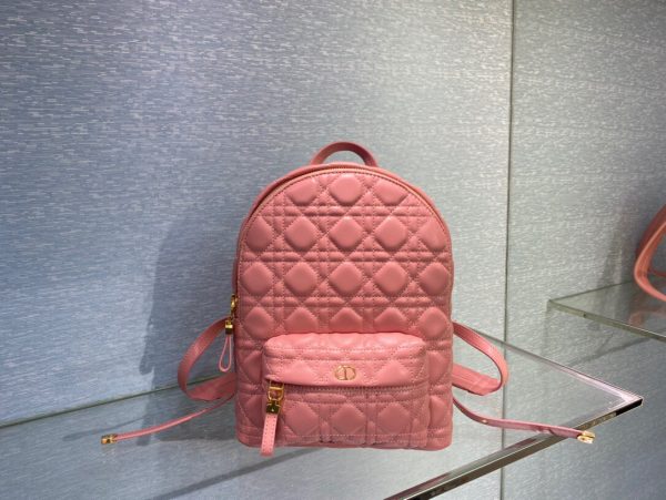 Dior Oblique retro pink Backpack 1