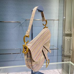 Dior Saddle size 25 multicolor stripe Bag 17