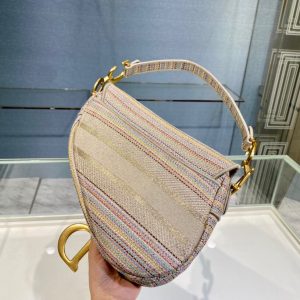 Dior Saddle size 25 multicolor stripe Bag 18