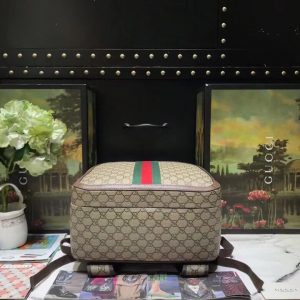 Gucci bag medium 547967 10