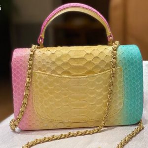 chanel Imported python skin 11
