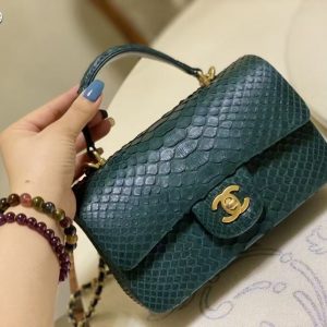 chanel Imported python skin 10