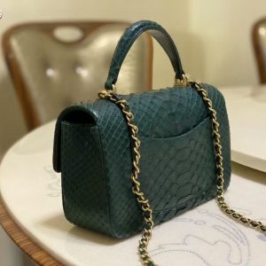 chanel Imported python skin 12