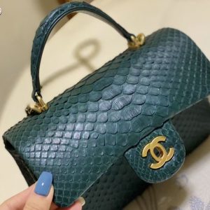 chanel Imported python skin 13
