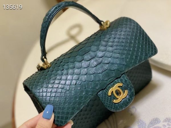 chanel Imported python skin 6