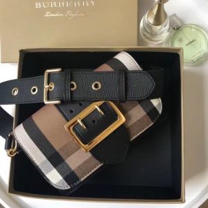 Burberry Small Buckle House Check Leather Bag 7