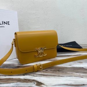 CELINE TEEN TRIOMPHE calfskin handbag 18