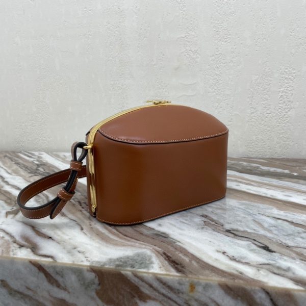 CELINE TRIOMPHE CANVAS cowhide lunch box handbag 3