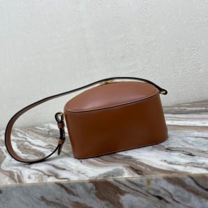 CELINE TRIOMPHE CANVAS cowhide lunch box handbag 19