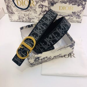 Dior 35mm Oblique Galaxy Logo CD gold Belts 11