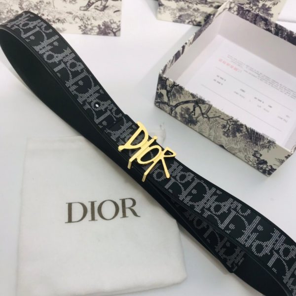 Dior 35mm Oblique Galaxy Logo DIOR gold Belts 6