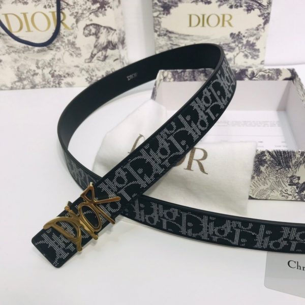 Dior 35mm Oblique Galaxy Logo DIOR gold Belts 8